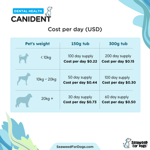 Canident | Clean Dogs Teeth, Fix Bad Breath and Remove Plaque