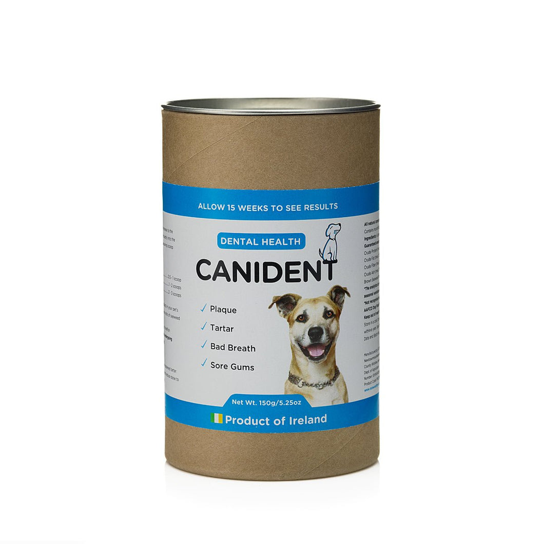 Canident | Clean Dogs Teeth, Fix Bad Breath and Remove Plaque